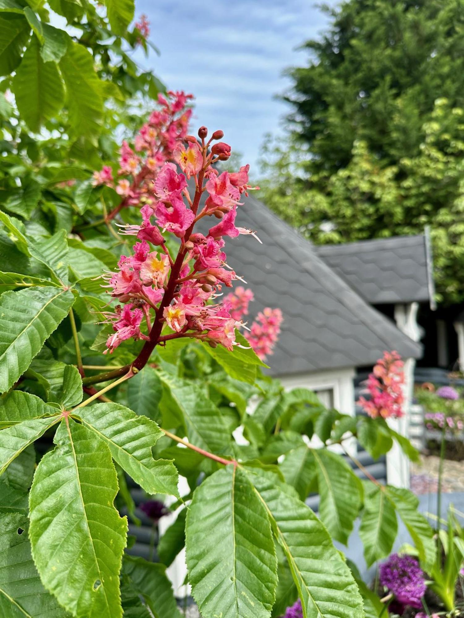 B&B Cosy Garden Alblasserdam Экстерьер фото